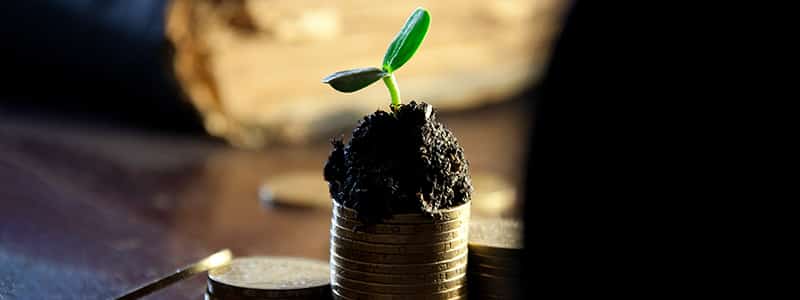 Starttiraha on tuki, jolla yritystoiminnan voi saada kasvamaan.