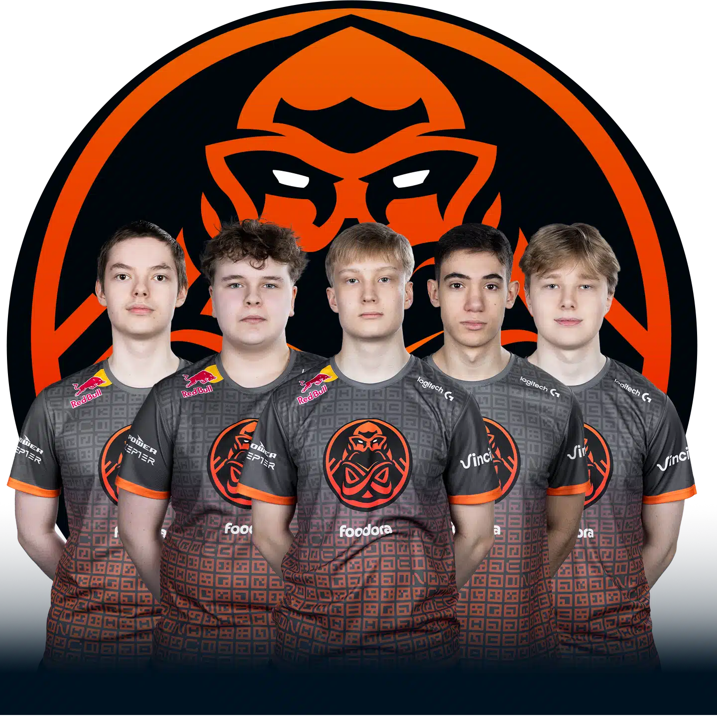 ence-lp-players copy